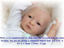 REBORN DOLL KIT VINYL DOLL KIT PETRA BY LINDE SCHERER