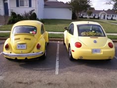 99 Best Vw Images On Pinterest Volkswagen Beetles And Cars I Used To Want A Car Like The Right One When Was Younger Beetle Carlove Bugsvw