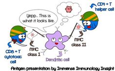 Molecular Biology Funny Jokes 57 Best Immunology Humor images Science humor Science Molecular Biology Funny Jokes 57 Best Immunology Humor images Science humor Science