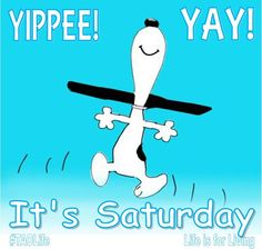 67 best saturday images on pinterest good morning good morning