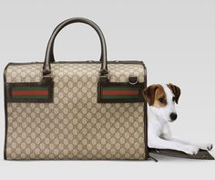 Jack Russell Chien Housse de coussin 16x16 pouces 40 cm mignon chien avec peluche doudou lapin