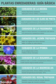 70 Ideas De Huerto Y Jardín Huerto Huerto Jardin Sistema De Riego Por Goteo