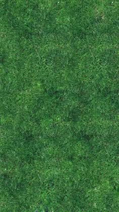 grass texture seamless mountain gimp patterns textures plant texture grass background texture mapping hand free high quality tileable seamless grass texture seamless mountain gimp patterns textures plant texture grass background texture mapping hand free high quality tileable seamless