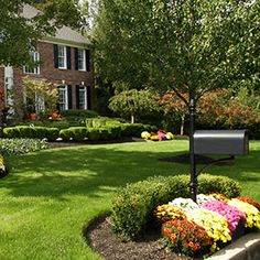 Garden Ideas Around Mailbox landscape around tree groupings. for under the birch trees after Garden Ideas Around Mailbox landscape around tree groupings. for under the birch trees after