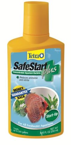 20 best best aquarium
