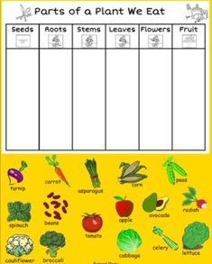 30 Ideas De Recursos Naturales Renovables Recursos Naturales Renovables Los Sentidos Para Niños Recursos Naturales