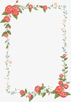 cool border designs