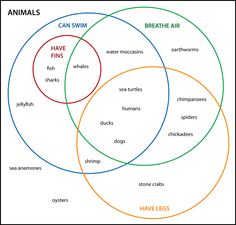 164 best venn diagrams images venn diagrams funny stuff funny things scientific law vs scientific theory venn diagram