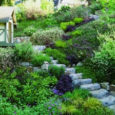 1492 best Landscape Design Ideas & Inspiration images on Pinterest ... 1492 best Landscape Design Ideas & Inspiration images on Pinterest ...