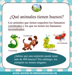 490 Ideas De Vertebrados E Invertebrados Vertebrados E Invertebrados Vertebrados Clasificación De Animales