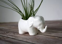58 best planters images