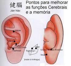 fisioterapeutas x masaje de prostata brescia de