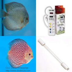 16 best marine led