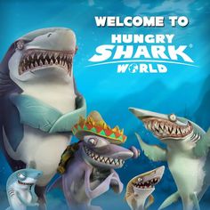81 Ideas De Hungry Sharck Shark Tiburones Fotos De Tiburones Dibujo De Tiburón