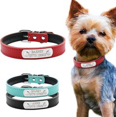 246 Best Pet Products On Aliexpress Images Pets Cool Things To 246 Best Pet Products On Aliexpress
