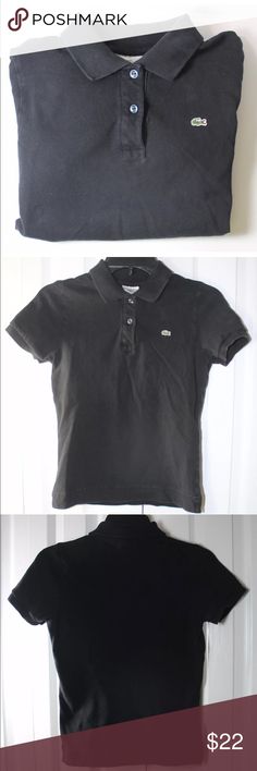 Images Polo And 31 On Best Pinterest Pops Ice Lacoste SpEwg