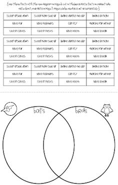 36 best stellaluna images stellaluna halloween 1st grade centers stellaluna venn diagram