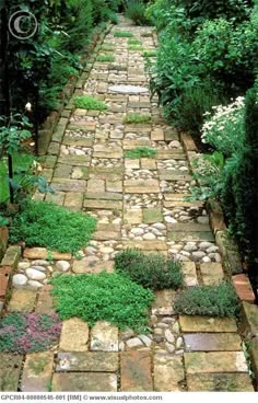 Garden Pathways 37 beauteous and alluring garden paths and walkways for your Garden Pathways 37 beauteous and alluring garden paths and walkways for your