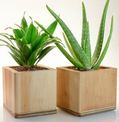 Rectangular Planter Box | Garden | Pinterest | Rectangular planter ... Rectangular Planter Box | Garden | Pinterest | Rectangular planter ...
