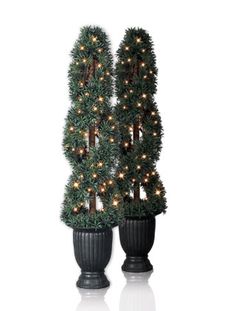 43 Best Topiary Trees Images In 2018 Balsam Fir Balsam Hill Artificial Myrtle Potted Trees By An Christmas Tree