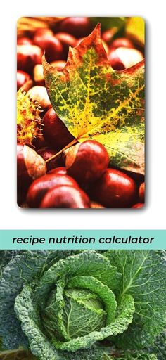 Coypal Photos #Nutrition 997390 003 Origi coloured 98p #nutrition - spreadsheet definition quizlet Coypal Photos #Nutrition 997390 003 Origi coloured 98p #nutrition - spreadsheet definition quizlet