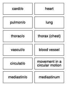 Nerdy image throughout printable medical terminology flash cards Declarative image intended for printable medical terminology flash cards