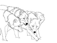 wolf coloring pages for kids | ... wolf or wolf sign at the Wolf ... wolf coloring pages for kids | ... wolf or wolf sign at the Wolf ...