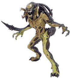 85 best predalien images