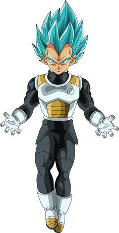 Mi hermano Dog Tag-SONGOKU /& Vegeta Dragon Ball Super-Collar Para Hermano