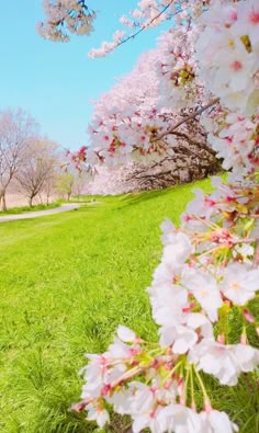 Shizuoka Flower Weather 2000-2014: Japan past weather 15 years