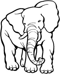 Printable Coloring Page Elephant 9 Mammals