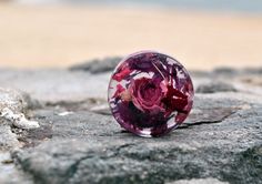 6MM-25MM HOLZ OHR PLUG ROSA ROSEN ROSE BLUME FLOWER SCHMETTERLING WOOD TUNNEL