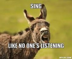 image result for donkey meme donkey pinterest donkey 3fa95e92594515ff20e2c67100928a42 singing meme donkeys image result for donkey meme donkey pinterest donkey,Donkey Waffles Meme