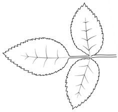 202 best leaf template images leaf template leaves flower template leaf template free
