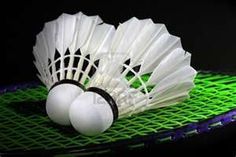 Callm 12 Pack Badminton Shuttlecocks Feather Birdies Shuttlecock Badminton Family Student Exercise for Indoor /& Outdoor Sports Activities
