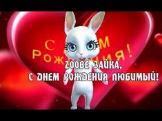 Zoobe Зайка С днем рождения, успехов, радости, везения! - YouTube