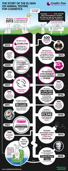 Best Animal Testing Images Animal Testing Animal Rescue Pros And Cons Of Animal Testing Healthrf Stop Animal Testing Animal Welfare Animal Writing Custom also Thesis For Narrative Essay Synthesis Essay Introduction Example