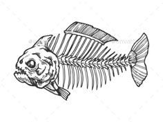Download Tribal Ulua Tattoo Design | Tribal, Fish art, Stock illustration