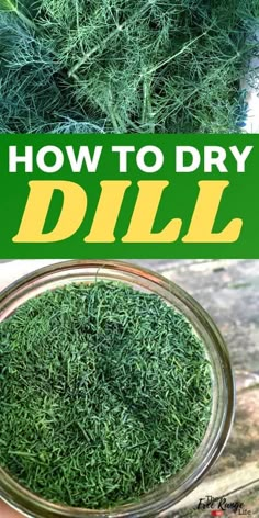 Preserve Fresh Herbs, Drying Fresh Herbs, Drying Dill, How To Harvest Dill Fresh Herbs, Dill Recipes, Herb Recipes, Garden Recipes, Punch Recipes, Canning Recipes