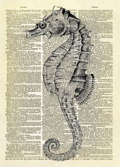 Old Antique Book page Art Print Vintage Pink Seahorses Dictionary Page Print