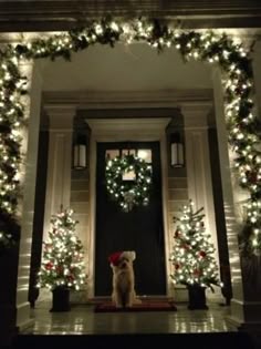 small outdoor lighted christmas trees crisp and clean christmas front porch decorating idea with white lights love the small trees on sides of door 156 best lights diy images pinterest lights small outdoor lighted christmas trees crisp and clean christmas front porch decorating idea with white lights love the small trees on sides of door 156 best lights diy images pinterest lights