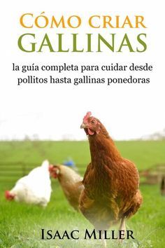 Luz Aida Adelaidablanco0 Perfil Pinterest