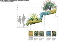 Landscape Architecture Section Drawings arroyo section perspective. | renderings | pinterest | perspective Landscape Architecture Section Drawings arroyo section perspective. | renderings | pinterest | perspective