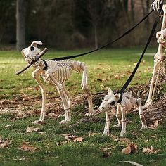 halloween skeleton cat youll knock em dead with a halloween decoration like this one display this skeleton cat on your porch or in your home f