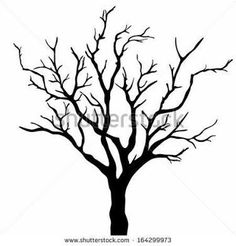112 best bare trees