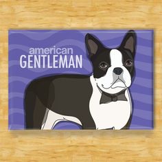 Mens Boston Terrier Love Hearts Neckties Slim Novelty Neck Ties-Gift