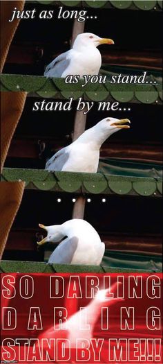 flirting memes gone wrong lyrics song free movie flirting memes gone wrong lyrics song free movie
