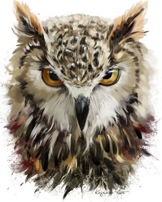 owl tattoo realistic black and white u2026 pinteres u2026 owl tattoo realistic black and white u2026 pinteres u2026