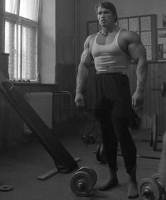 T519 GYM Bodybuilding Work Out Arnold Schwarzenegger Motivational Art Poster