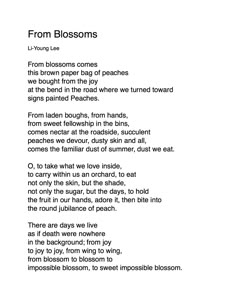 Odes for a Princess: The Diana Poems: Eulogy for Princess Diana